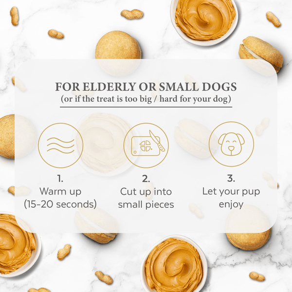 Dog Macarons (Box of 3) - Darktower Media