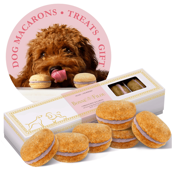 Dog Macarons (Box of 6) - Darktower Media