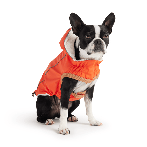 Insulated Raincoat - Orange - Darktower Media