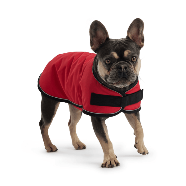 Blanket Jacket - Red - Darktower Media