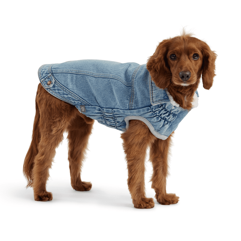 Denim Jacket - Light Wash - Darktower Media
