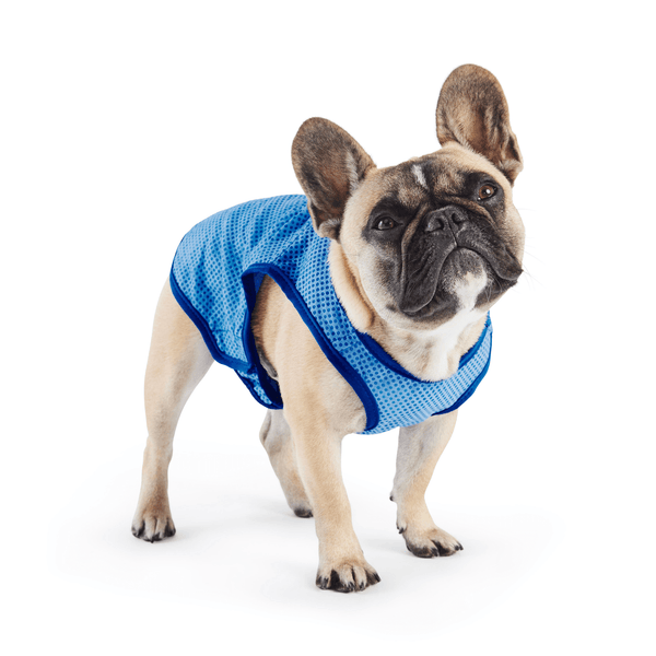 Elasto - Fit Ice Vest - Blue - Darktower Media
