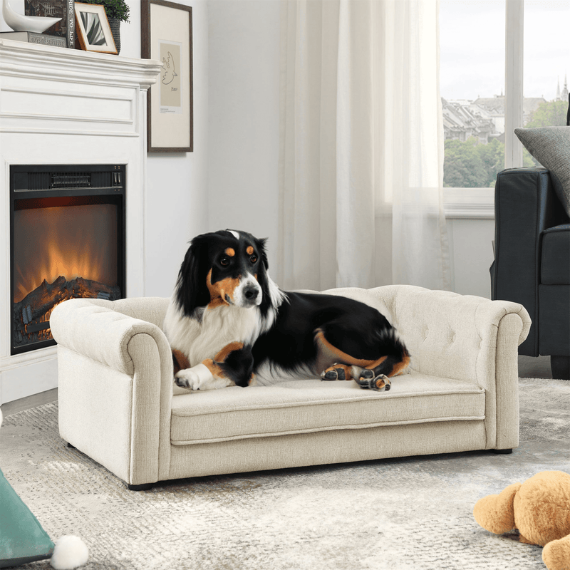 Elegant Rectangle Pet Bed for Medium and Large Dogs, Durable Elevated Dog Sofa Bed, Comfortable Dog Couch, Modern and Stylish Dog Sofa for Large Dogs,Beige - Darktower Media