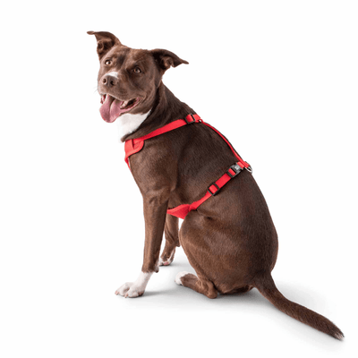 GF PET Travel Harness Red For Dogs With Reflective Details And Adjustable Straps