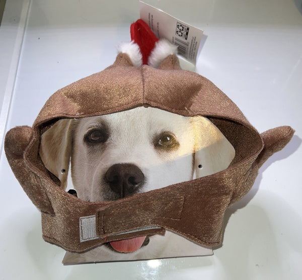 Halloween Thanksgiving Costume Turkey Drumstick Hat M/Lg Dog Hat ... - Darktower Media