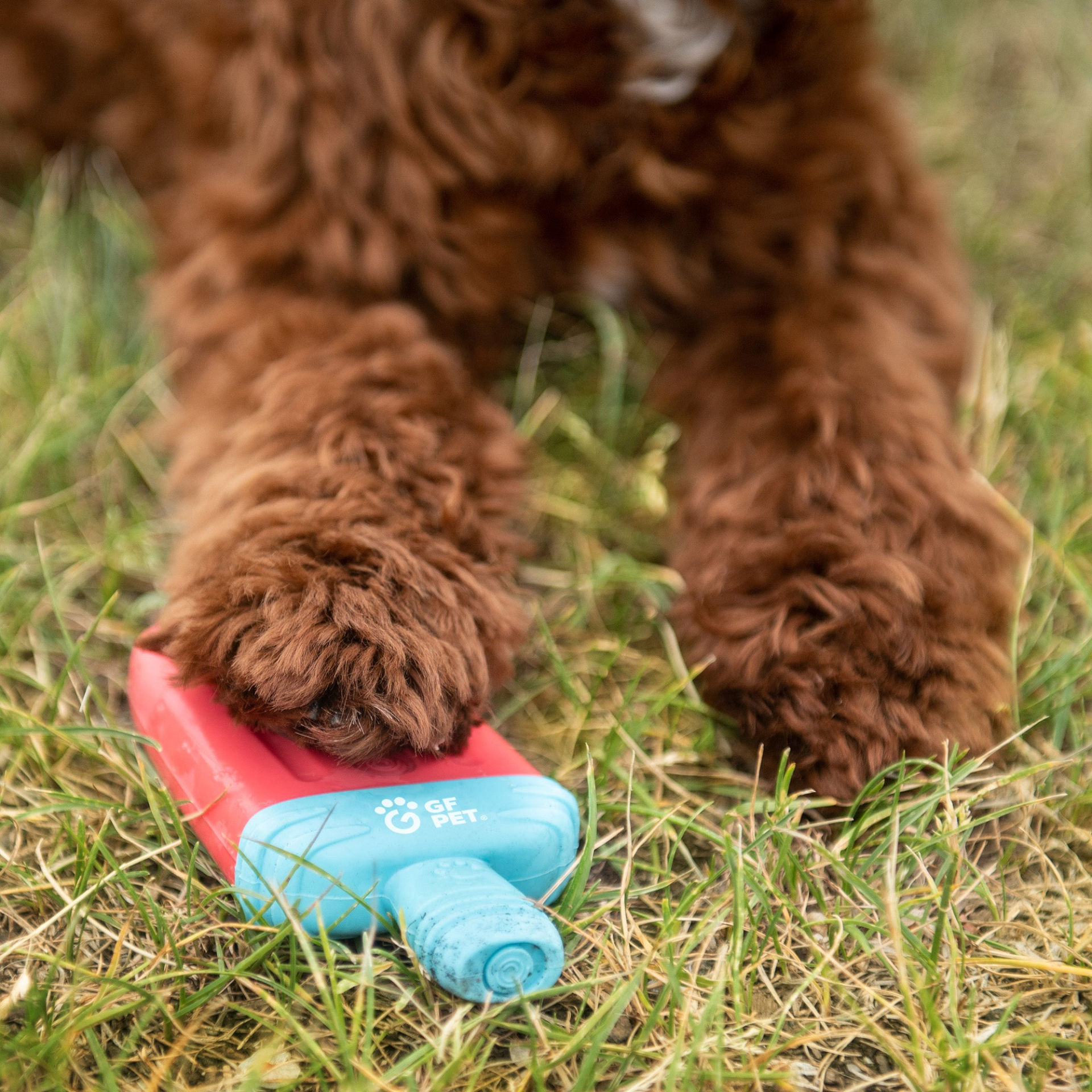 Ice Toy Display 24pcs Mix - Darktower Media