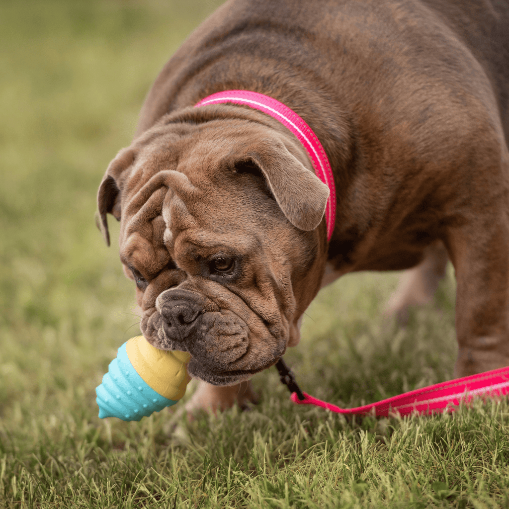 Ice Toy Display 24pcs Mix - Darktower Media