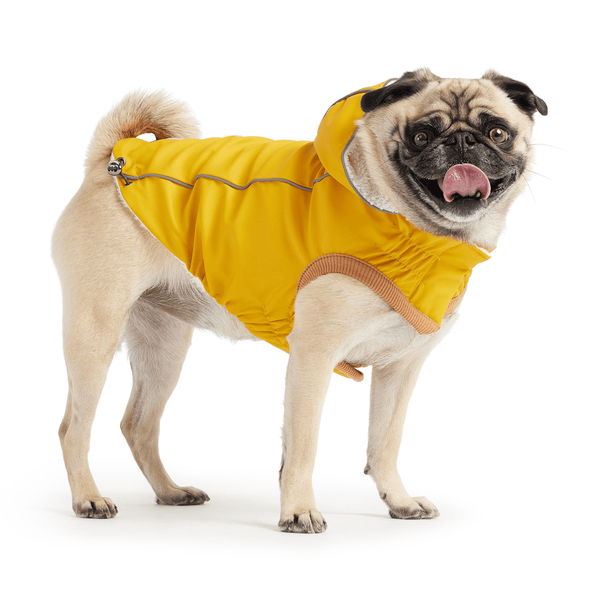 Insulated Raincoat - Yellow - Darktower Media