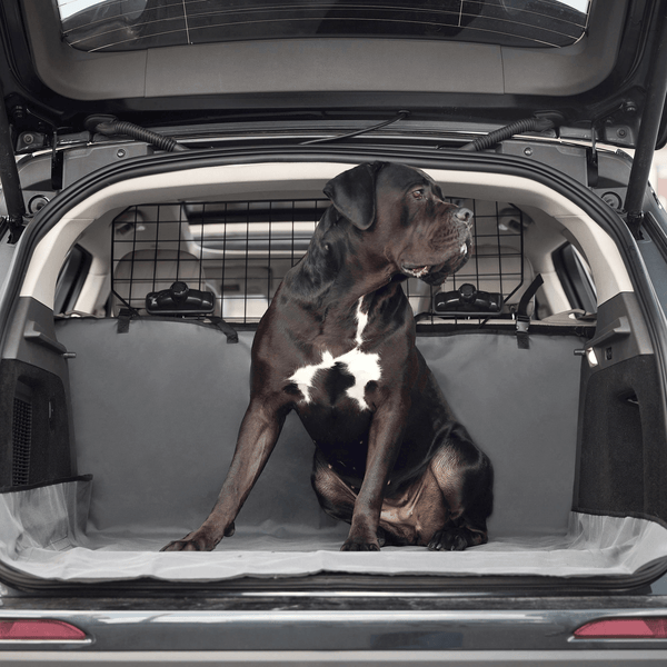 Pet Cargo Cover - Darktower Media