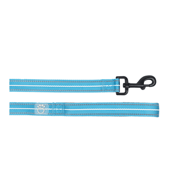 Reflective Leash - Neon Blue - Darktower Media