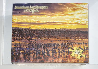 Rio Grande Bird Sanctuary 1000 Pc Jigsaw Puzzle 19”x26” Ken Jenkins New