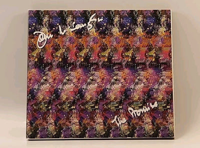The Promise by John McLaughlin (CD, 1995, Verve Records) USA Promo r1s5 574