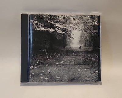 The Vision Ensemble- Self Titled (CD 1995) Manitou Traverse City Mich w1s5 3478