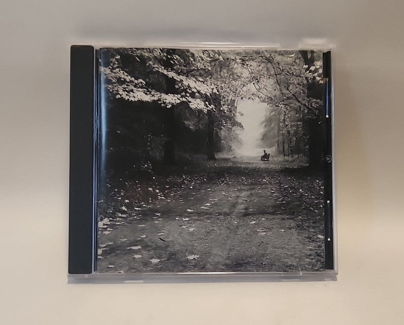 The Vision Ensemble - Self Titled (CD 1995) Manitou Traverse City Mich w1s5 3478 - Darktower Media