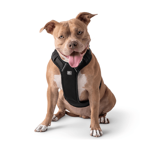 Travel Harness - Black - Darktower Media